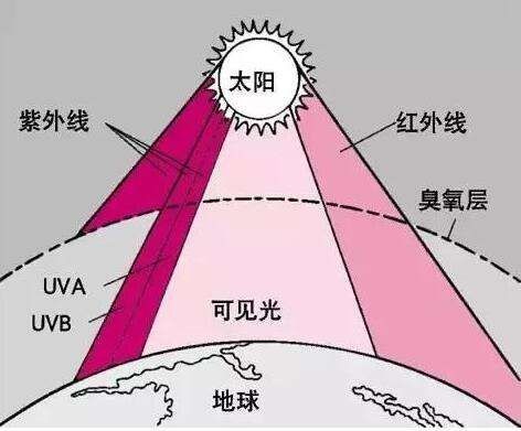 定型機,涂層機,地毯機,地毯背膠機,靜電植絨機