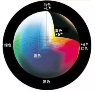 涂層機,定型機,地毯機,地毯背膠機,靜電植絨機